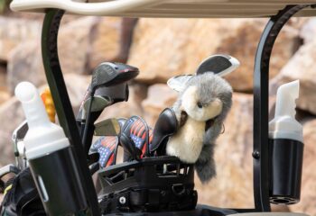 Jpeg Optimizer IMG 9039