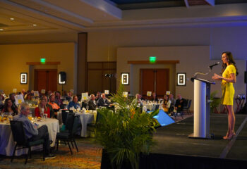 Taco Johns 2025 Az 149