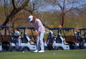 Taco Johns 2025 Az 393